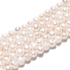 Natural Cultured Freshwater Pearl Beads Strands&nbsp;PEAR-N026-01