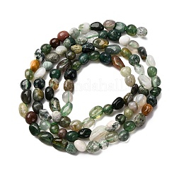 Natural Indian Agate Beads Strands&nbsp;G-I389-A06