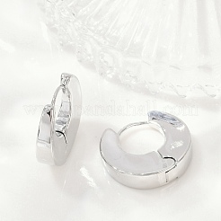 真鍮製フープピアス  プラチナ  17.5x4.5x16.5mm&nbsp;EJEW-Q016-09P