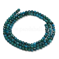 Natural Chrysocolla Beads Strands&nbsp;GG-CBA77FB-B12-3mm