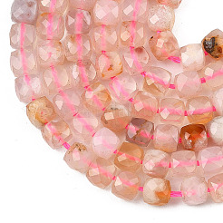 Natural Cherry Blossom Agate Beads Strands&nbsp;G-D103-C02