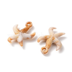 オペークアクリルパーツ  貝殻の形/ヒトデ  混合図形  15~68.5x10~30x4~17.5mm  穴：1.6~2.5mm&nbsp;OACR-Z033-02