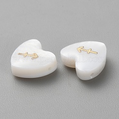 5Pcs Natural White Shell Beads&nbsp;BSHE-TAC0004-02K