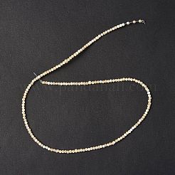 Natural Trochid Shell/Trochus Shell Beads Strands&nbsp;SSHEL-S266-023B-01