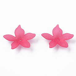 Transparent Acrylic Beads&nbsp;MACR-S373-127-D01