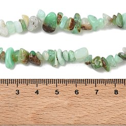 天然クリソプレーズビーズ連売り  チップ  5.5~14x5~7x2~5mm  穴：1mm  31.50''（80センチメートル）&nbsp;G-G0004-D01-A-01
