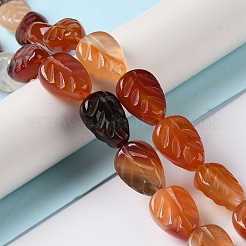 天然石赤瑪瑙ビーズ連売り  葉  14~14.5x10~10.5x5.5~6mm  穴：1.2mm  約15個/連  8.43''（21.4センチメートル）&nbsp;G-M418-A05-01