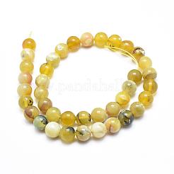 天然のイエローオパールラウンドビーズ連売り  8mm  穴：1mm  約48個/連  15.5インチ&nbsp;G-M296-02-8mm