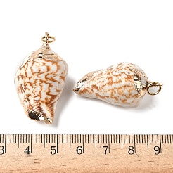 電気メッキ巻き貝ペンダント  鉄パーツ  巻き貝  ライトゴールド  36~46x19~25x15~20mm  穴：3mm&nbsp;BSHE-L036-43