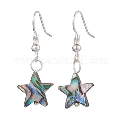 Natural Abalone Shell/Paua Shell Dangle Earring&nbsp;EJEW-JE05915
