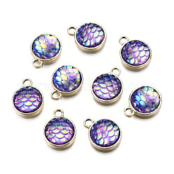 Alloy Resin Charms&nbsp;PALLOY-T056-24C