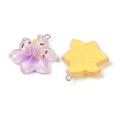 Resin Pendants&nbsp;RESI-D016-04B