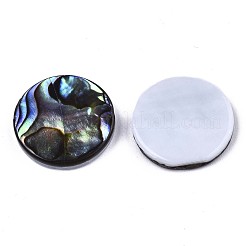 天然アワビシェル/パウアシェルカボション  淡水シェル  フラットラウンド  カラフル  15x3mm&nbsp;SSHEL-N034-72B-01