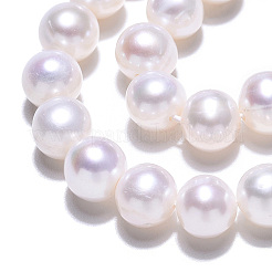 天然養殖淡水パールビーズ連売り  ラウンド  貝殻色  6.5~7x6~6.5mm  穴：0.7~0.8mm  約60個/連  14.37インチ（36.5cm）&nbsp;PEAR-N016-06A