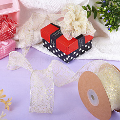 10 Yards Sparkle Polyester Glitter Ribbon&nbsp;OCOR-TAC0034-02A