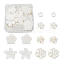 Natural Freshwater Shell Pendants&nbsp;SSHEL-KS0001-01