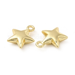 Rack Plating Alloy Charms&nbsp;FIND-G044-03LG