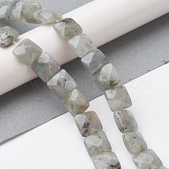天然石ラブラドライトビーズ連売り  多面カット正方形  10x10x5mm  穴：1.2mm  約20個/連  7.95''（20.2センチメートル）&nbsp;G-K359-B17-01