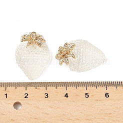 Alloy Resin Pendants&nbsp;CRES-D306-09G-A