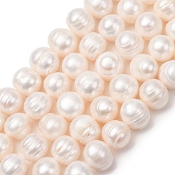 天然養殖淡水パールビーズ連売り  ポテト  古いレース  12~15mm  穴：0.6mm  約32個/連  13.78''（35センチメートル）&nbsp;PA-CBABE82-12A