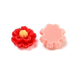 Opaque Resin Decoden Cabochons&nbsp;CRES-I035-06
