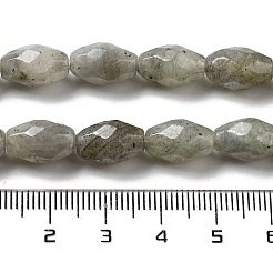天然石ラブラドライトビーズ連売り  多面カットコメ  12.5x8mm  穴：1.2mm  約16個/連  7.68''（19.5センチメートル）&nbsp;G-P520-C08-01