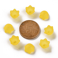 Transparent Acrylic Beads Caps&nbsp;PL543-2