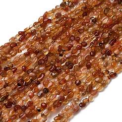 Natural Red Agate Beads Strands&nbsp;G-I389-A37-01A