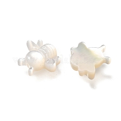ナチュラルホワイトシェルビーズ  ミツバチ  乳白色  9x9.5x3mm  穴：0.8mm&nbsp;BSHE-Z008-06