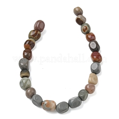Natural Alashan Agate Beads Strands&nbsp;G-C286-A10