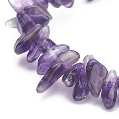 Natural Amethyst Chips Beaded Jewelry Set&nbsp;SJEW-JS01232-03