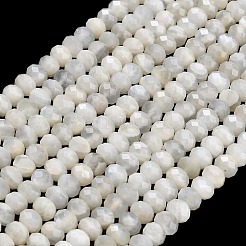 Natural White Moonstone Beads Strands&nbsp;G-C280-A09-01