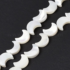 Natural Trochid Shell/Trochus Shell Beads Strands&nbsp;SSHEL-N032-25A