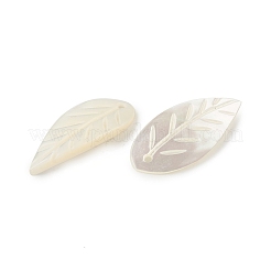 Natural Sea Shell Pendants&nbsp;SSHEL-T012-12