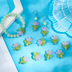 12Pcs Handmade Lampwork Beads&nbsp;LAMP-PA0001-03B