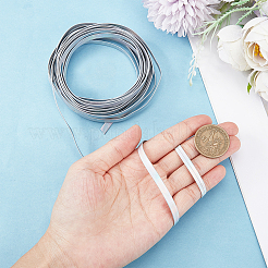 4.6~5m レーザーフラット模造革コード  衣服の装飾用の虹色のコード  銀  5x0.8mm  約4.6~5m /ロール&nbsp;LC-GF0001-06A-02