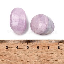 Natural Kunzite Beads&nbsp;G-G348-01A-15