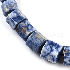 Natural Blue Spot Jasper Hexagon Prism Graduated Beaded Necklaces for Women Men&nbsp;NJEW-K388-03C