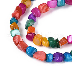 Natural Freshwater Shell Beads Strands&nbsp;SHEL-N038-06B
