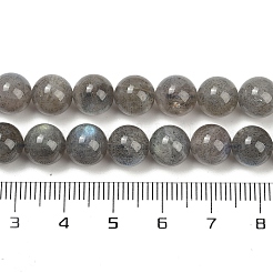Natural Labradorite Beads Strands&nbsp;G-G448-8mm-04A
