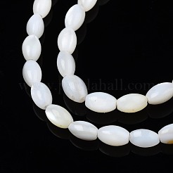 Freshwater Shell Beads Strands&nbsp;SHEL-T009-A15-01