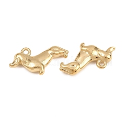 304 Stainless Steel Pendants&nbsp;STAS-L022-590G
