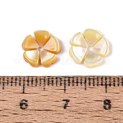 Natural Yellow Shell Carved Beads&nbsp;SHEL-Q028-04