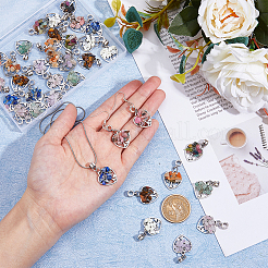 36Pcs 9 Styles Natural Mixed Gemstone European Dangle Charms&nbsp;PALLOY-AB00243