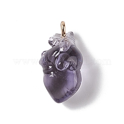 Transparent Resin Pendants&nbsp;RESI-E028-01G-08