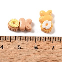 Cute Mini Cartoon Series Resin Cabochons&nbsp;CRES-I037-05B