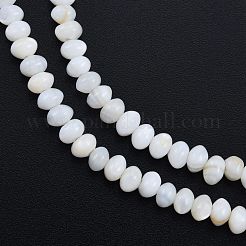 Natural Freshwater Shell Beads Strands&nbsp;SHEL-G013-03B