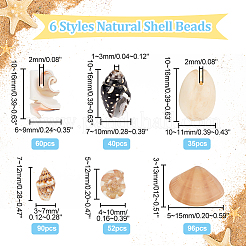 6 Styles Natural Shell Beads Display Ornaments&nbsp;SHEL-PH0001-46