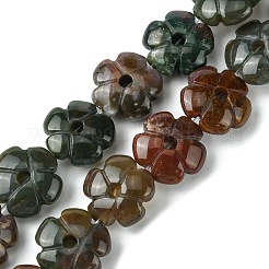 Natural Indian Agate Beads Strands&nbsp;G-H023-B06-01
