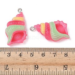不透明樹脂ペンダント  プラチナアイアンループ付き  巻き貝の形  34x19.5x9mm  穴：2mm&nbsp;RESI-Z040-06P-03